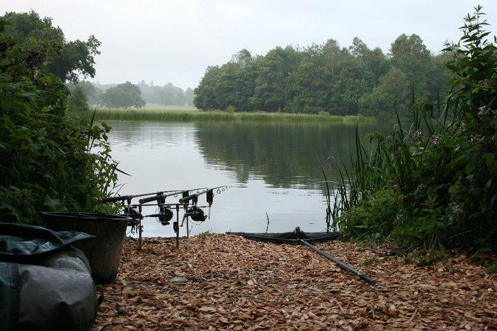 ::::::::LIKE:::::::: - 1005265542403955795377247811151n.jpg